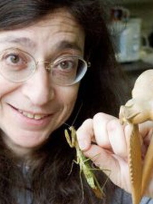 May Berenbaum