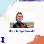 N/A